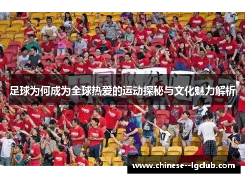 足球为何成为全球热爱的运动探秘与文化魅力解析