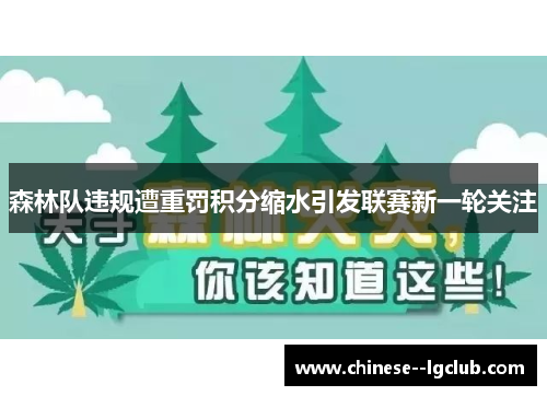 森林队违规遭重罚积分缩水引发联赛新一轮关注 森林队违规遭重罚积分缩水引发联赛新一轮关注