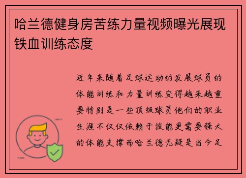 /uploads/images/20260704/ha-lan-de-jian-shen-fang-ku-lian-li-liang-shi-pin-pu-guang-zhan-xian-tie-xue-xun-lian-tai-du.webp
